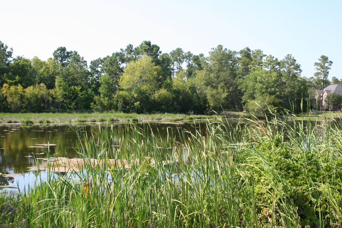 Sotherloch Lake 2 – Gleannloch Farms